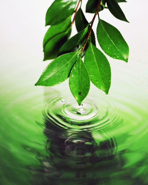 Better leaf water ripple